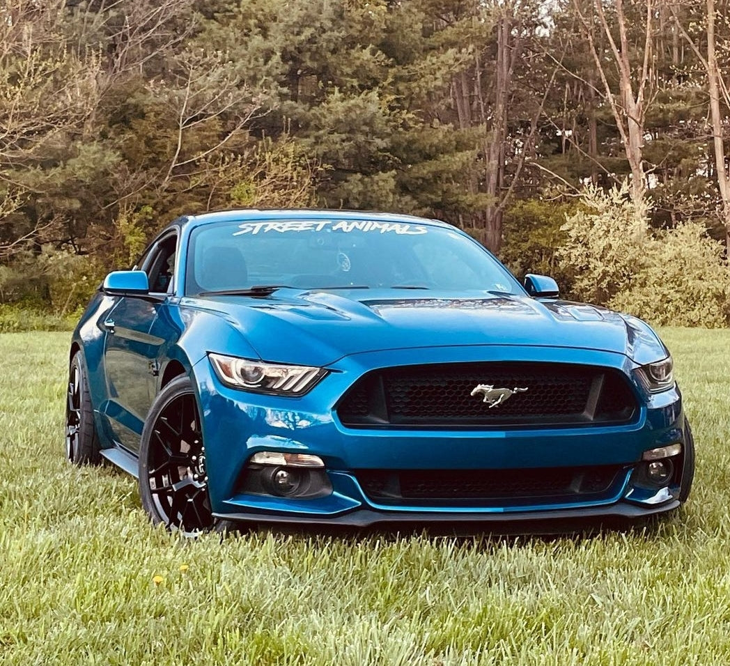 OG Banner