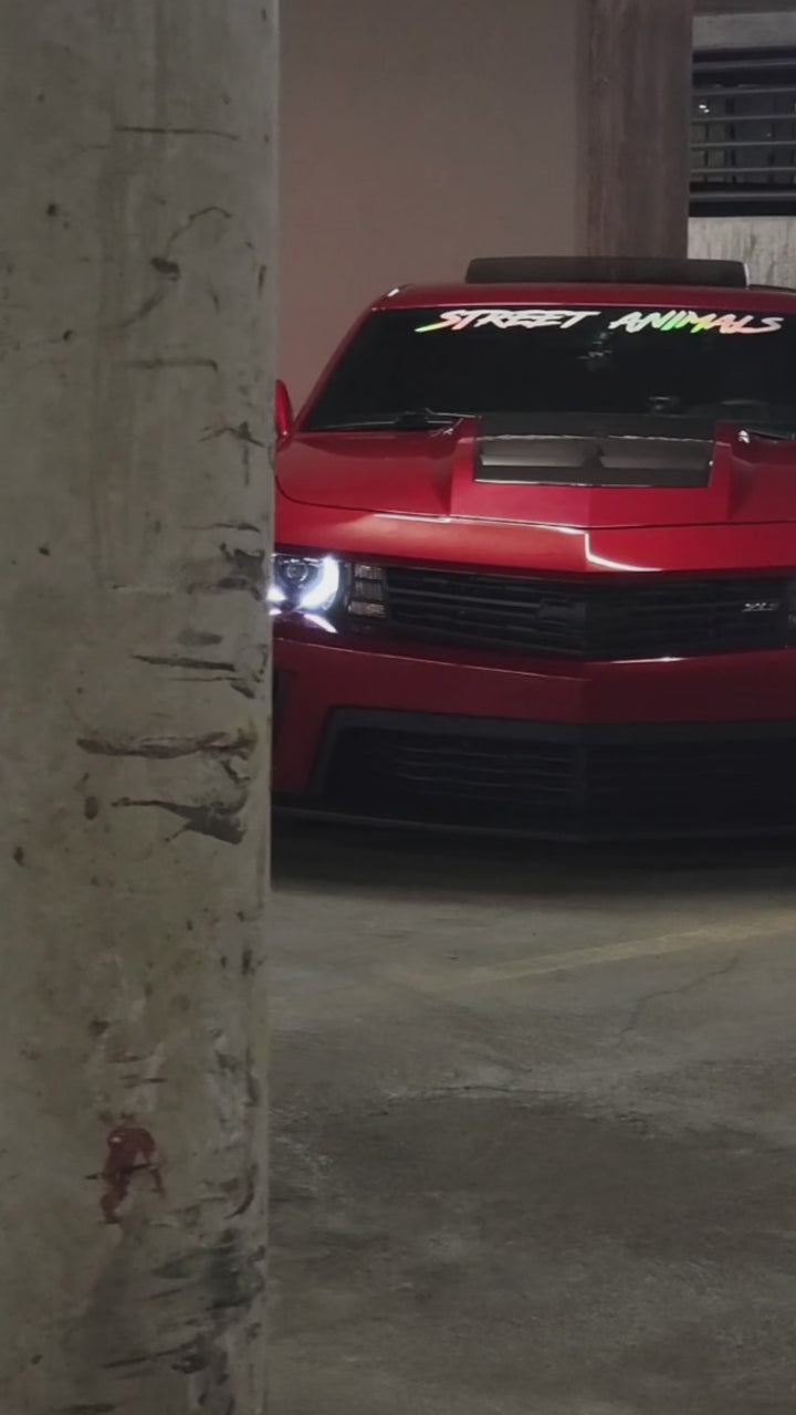 OG Banner